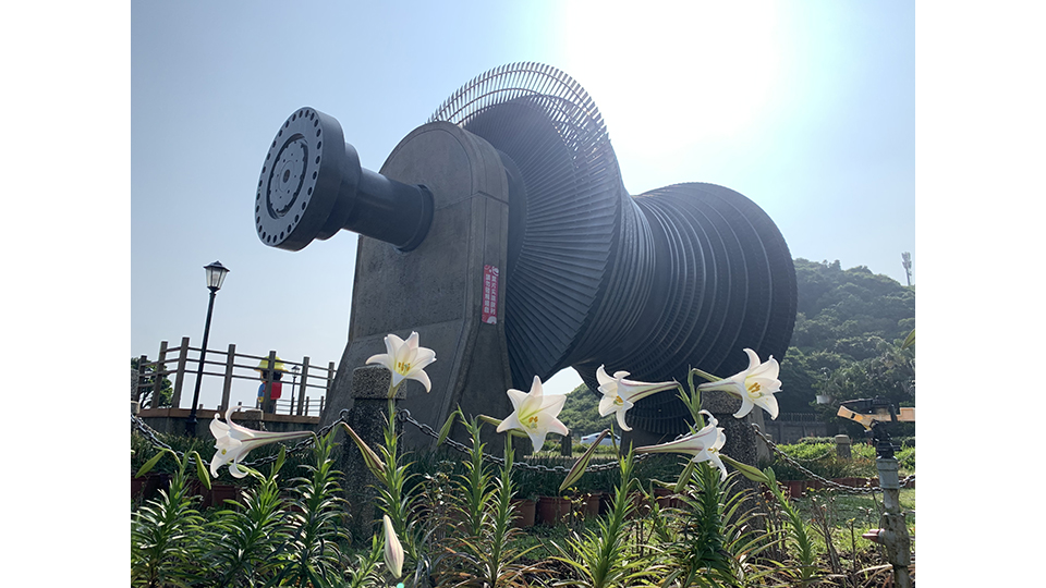 北展館戶外展示的低壓汽輪機轉子與盛開的台灣野百合。
